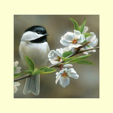 Схема вышивки «№2055259»