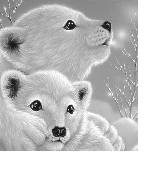 311х341 - оригинал