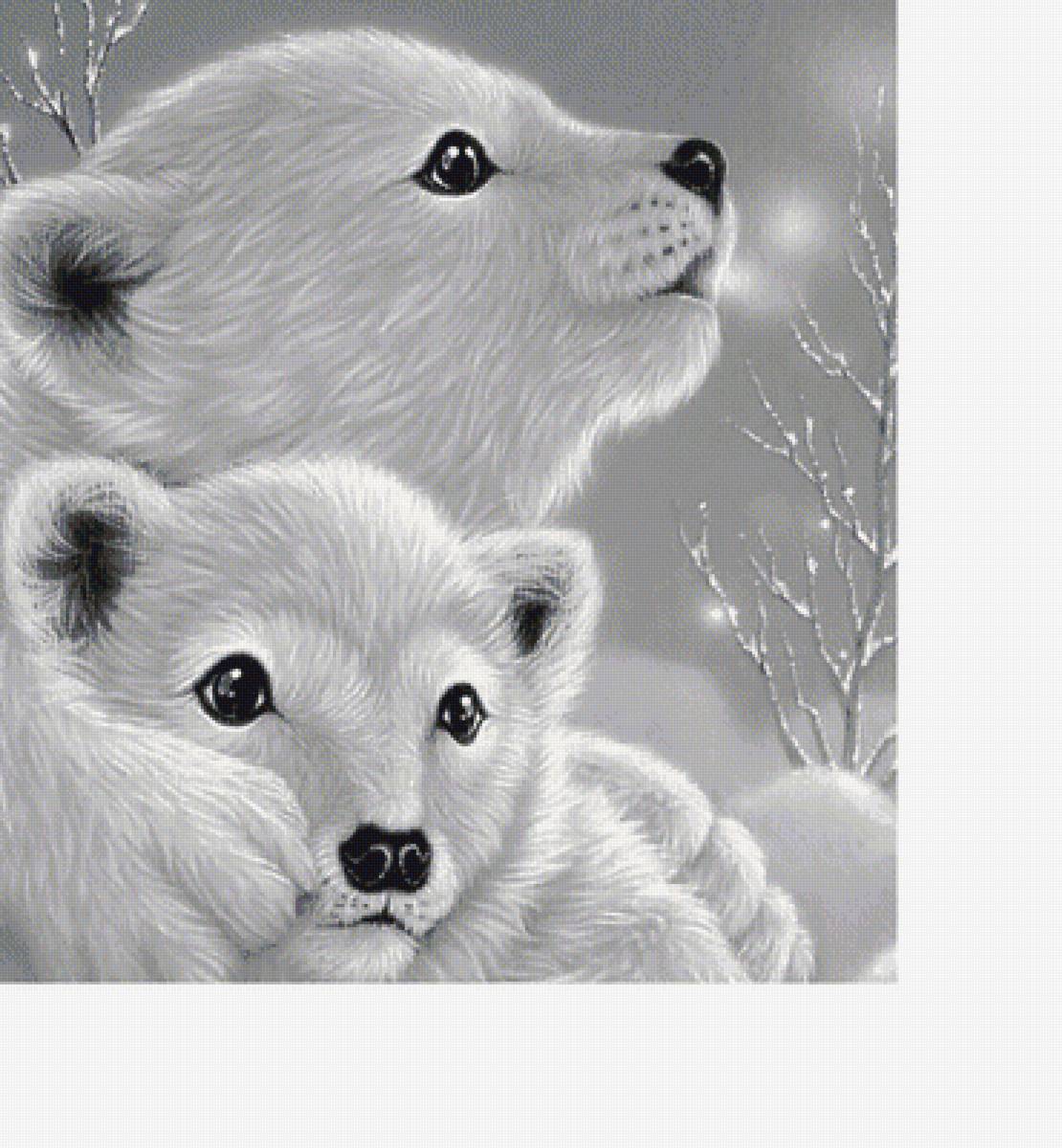 311х341 - предпросмотр