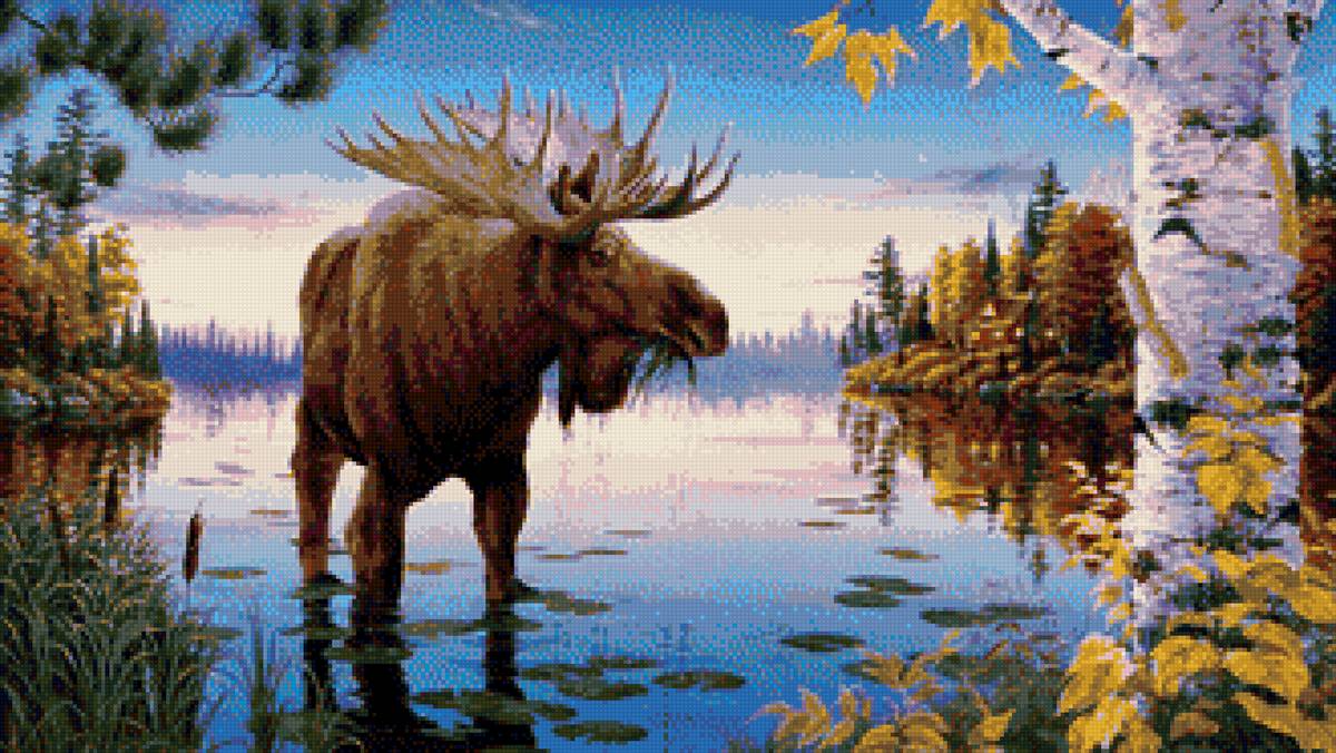 Лось на речке - предпросмотр