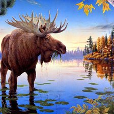 Схема вышивки «Лось на речке»