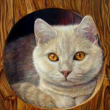 Схема вышивки «Котик»