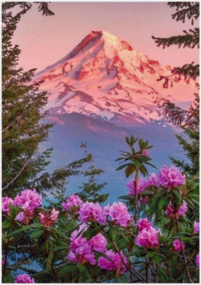 Закат в горах - пейзаж, горы, природа, закат, цветы - предпросмотр