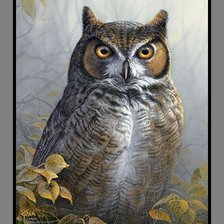 Схема вышивки «птицы»