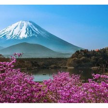 Схема вышивки «сакура2»