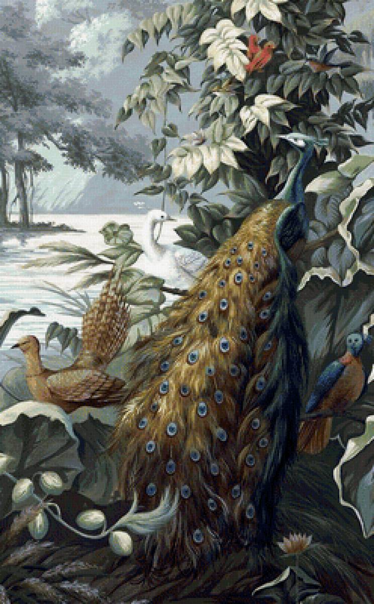 птицы - предпросмотр