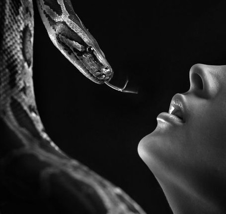 Змея Черно-Белая - змея черно-белая, девушка и змея, змея, губы и змея - оригинал