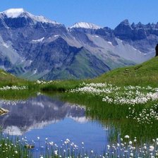 Схема вышивки «Природа»