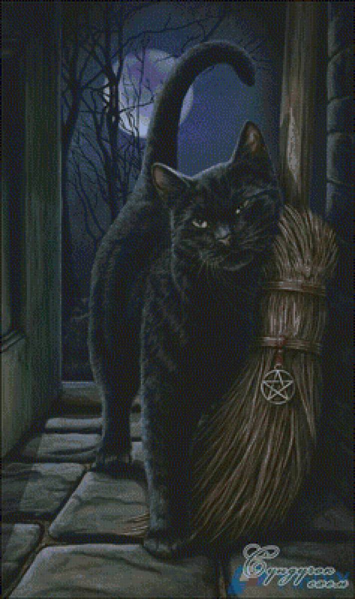 Чёрный кот - предпросмотр