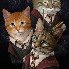 Схема вышивки «Коты-воины»