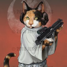 Схема вышивки «Коты-воины»