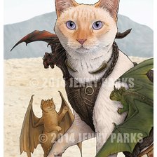 Схема вышивки «Коты-воины»