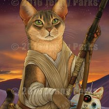 Схема вышивки «Коты-воины»