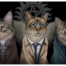 Схема вышивки «Коты-воины»