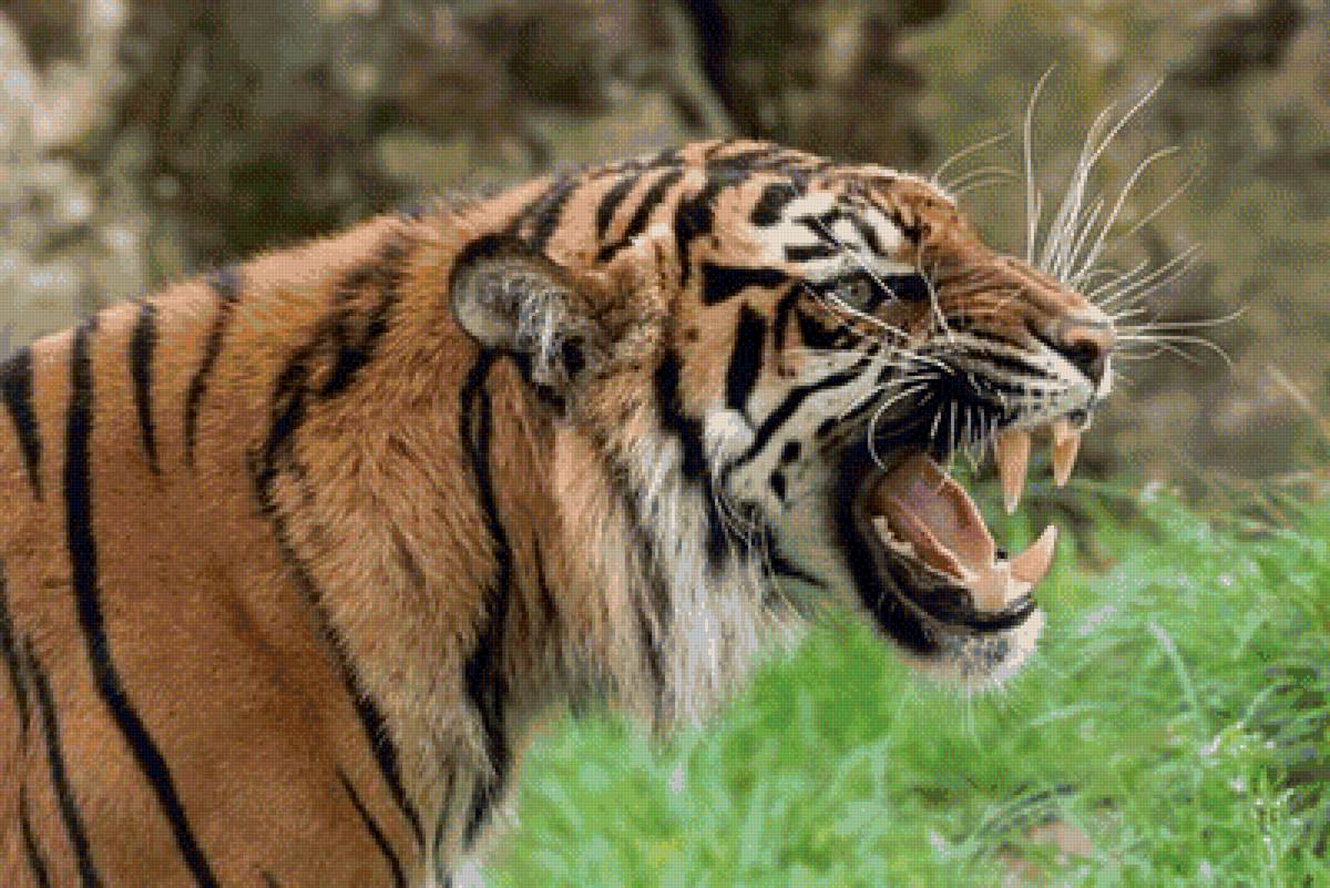 №2056698 - предпросмотр