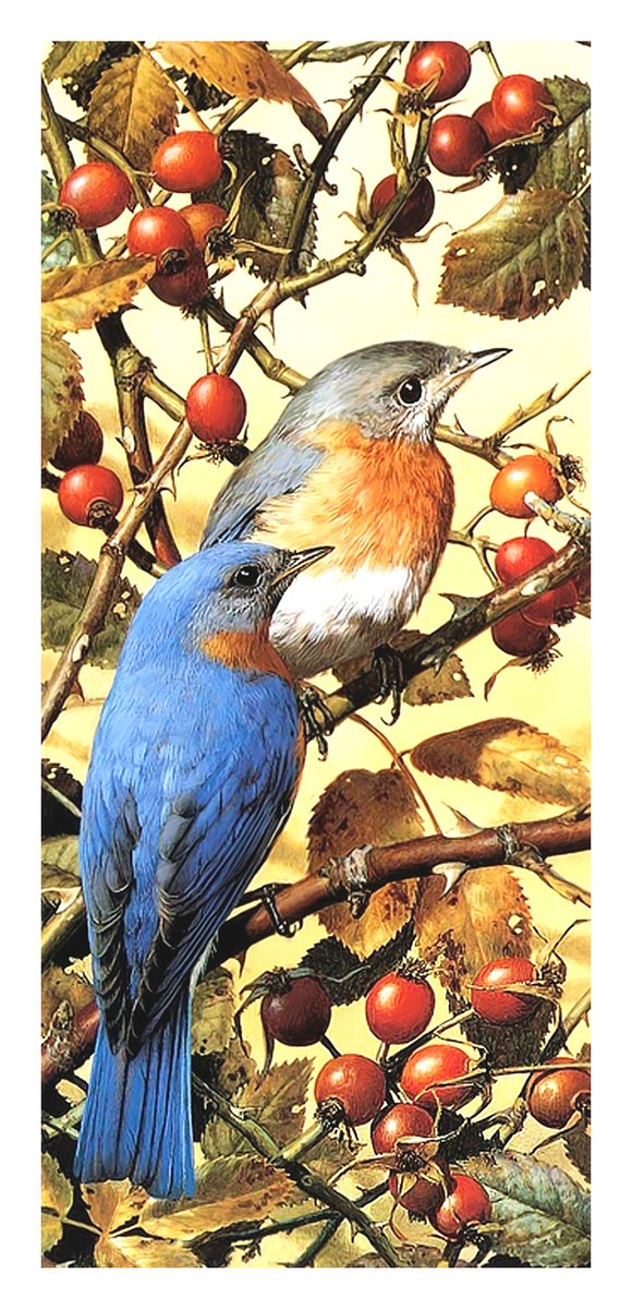 Птички. - живопись, шиповник, птицы - оригинал