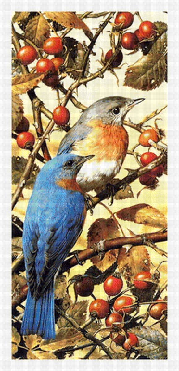 Птички. - шиповник, птицы, живопись - предпросмотр