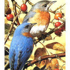 Схема вышивки «Птички.»