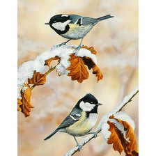 Схема вышивки «Зимние синицы.»