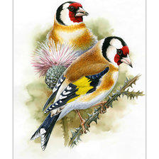 Схема вышивки «Птицы.»