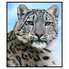 Схема вышивки «дикие»