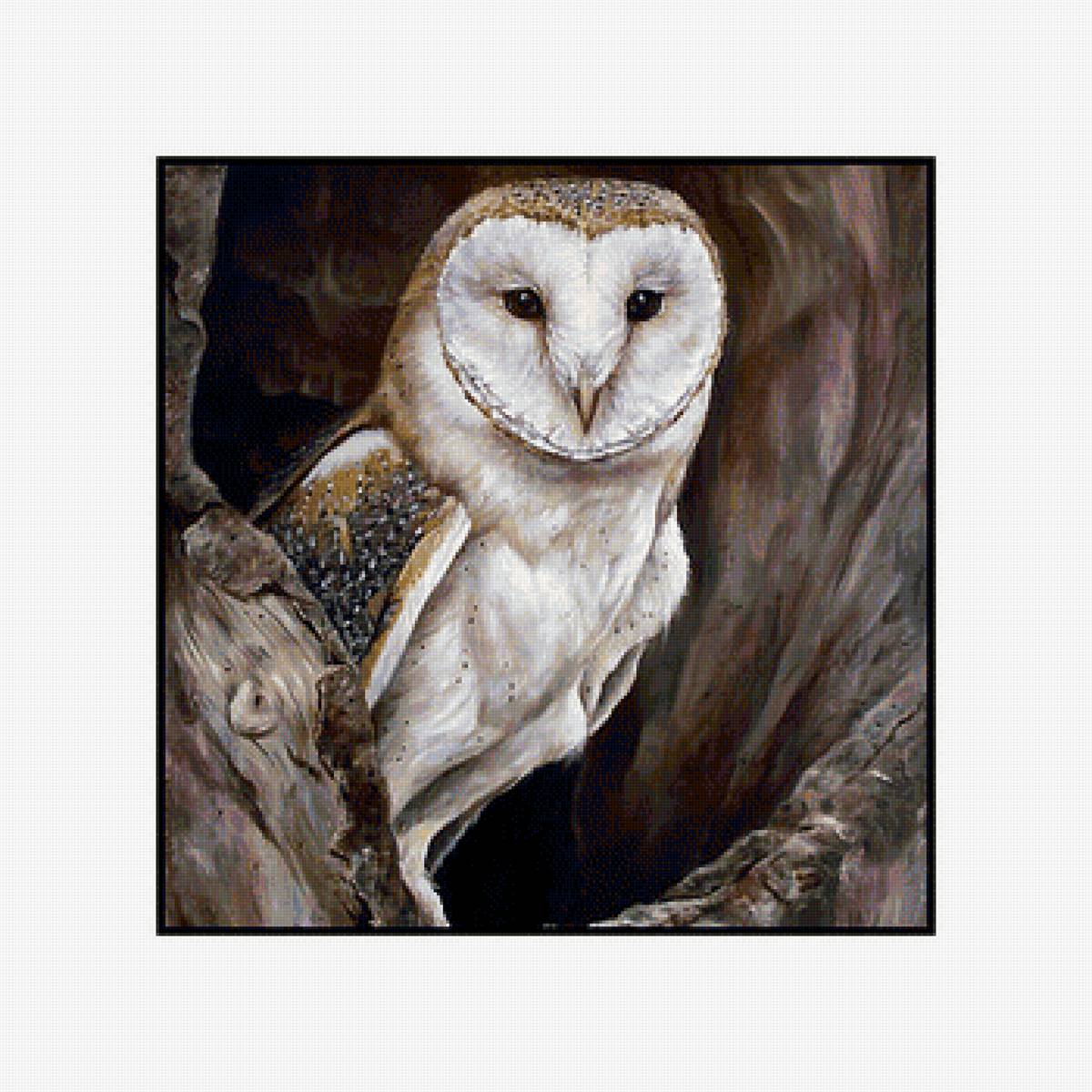 птицы - предпросмотр