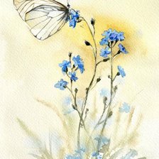 Схема вышивки «Бабочка»