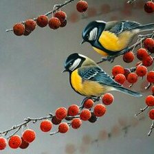 Схема вышивки «Птички»