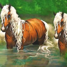 Схема вышивки «белогривые»