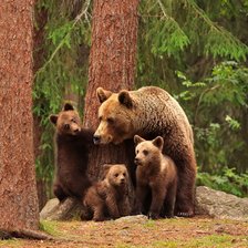 Схема вышивки «медведи»