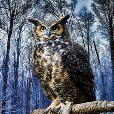 Схема вышивки «птицы»