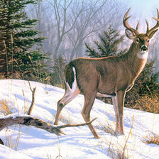 Схема вышивки «Настороже»