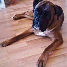 Схема вышивки «инди»