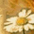 Предпросмотр схемы вышивки «ромашки в поле» (№2057627)