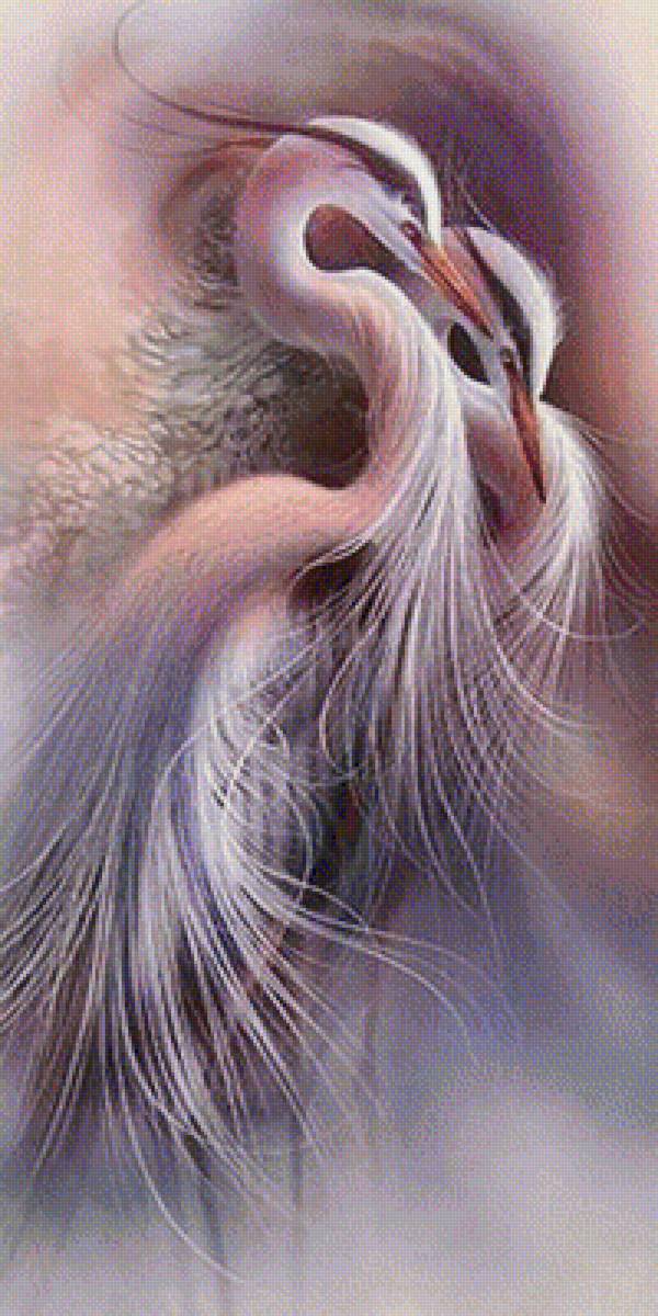 Ptaki - предпросмотр