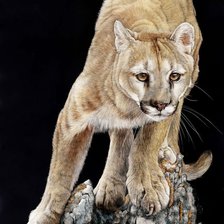 Схема вышивки «№2057704»