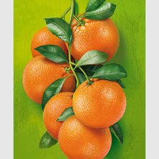 Схема вышивки «№2057724»