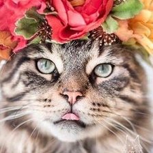 Схема вышивки «Кошка с веночком»