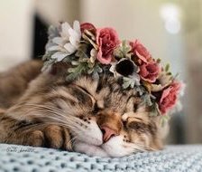 Схема вышивки «Кошка с веночком»