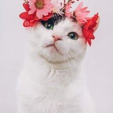 Схема вышивки «Кошка с веночком»