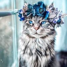 Схема вышивки «Кошка с веночком»