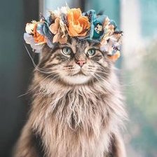 Схема вышивки «Кошка с веночком»