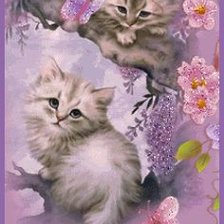 Схема вышивки «Котята»