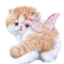 Схема вышивки «Котенок-ангел»