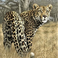 Схема вышивки «№2058007»