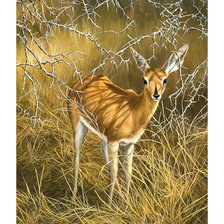 Схема вышивки «Косуля.»