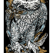 Схема вышивки «Совиный арт.»