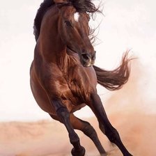 Схема вышивки «Ló»