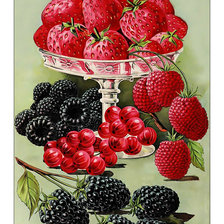 Схема вышивки «Ягодный натюрморт.»