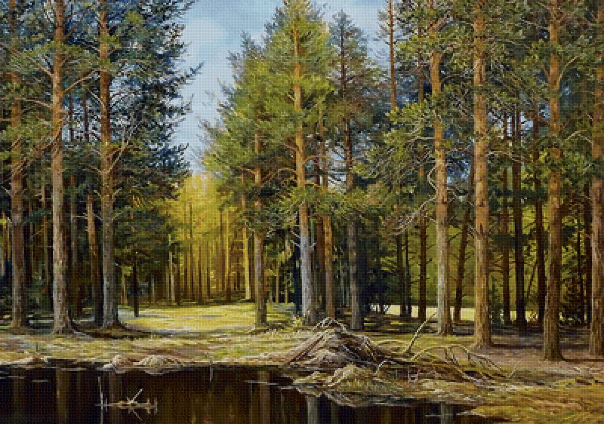 Пейзаж. Лес. - лес, пейзаж, сосны, живопись, река - предпросмотр